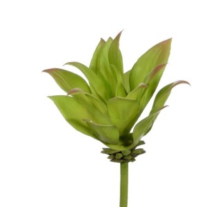 SUKULENT Green H15cm