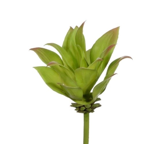 sukulent-15cm-21kw257-green.jpg