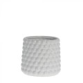 dotsie flower pot white (1).jpg