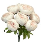 Bukiet PEONIA Powder Pink - 9szt