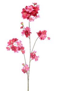 Gałązka APPLE BLOSSOM