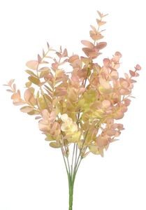 Bukiet EUKALIPTUS Peach Pink - 6szt.