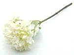 HORTENSJA White Cream długa  H46cm