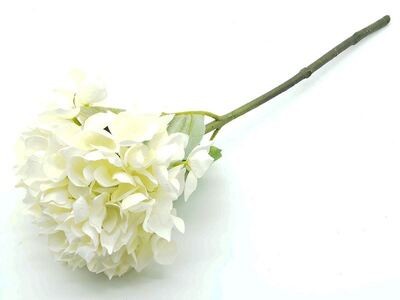 hortensja-pojedyncza-46cm-white-cream.jpg